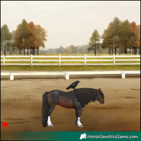 Horse Color:Brown 