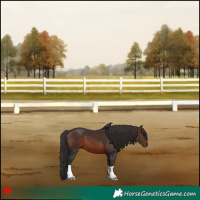 Horse Color:Brown 