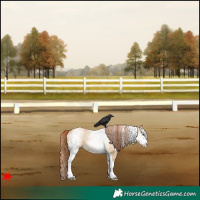 Horse Color:White Spotted Red Dun