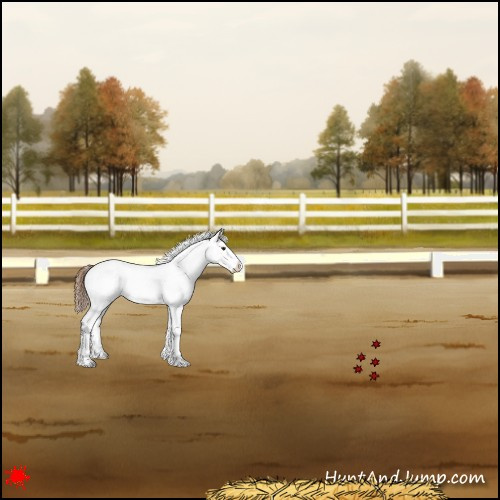 Horse Color:White Spotted Red Dun Splash 