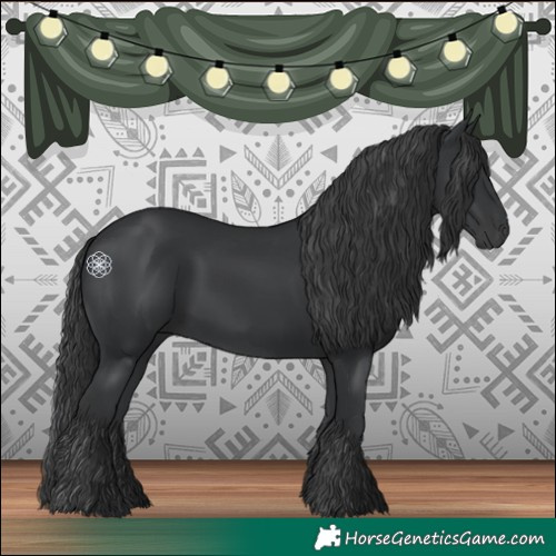 Horse Color:Black 