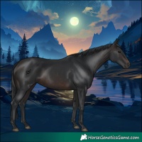 Horse Color:Brown 
