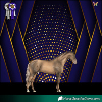 Horse Color:Gold Champagne 