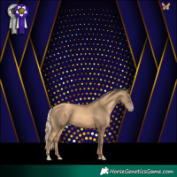 Horse Color:Gold Champagne 