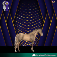 Horse Color:Gold Champagne