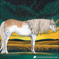Horse Color:White Spotted Chocolate Palomino Splash 
