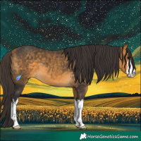 Horse Color:White Spotted Buckskin 