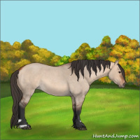 Horse Color:Bay Roan Dun