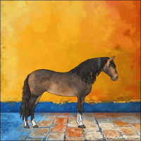 Horse Color:Buckskin Tobiano 