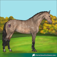 Horse Color:Bay Dun  and Brown Dun 