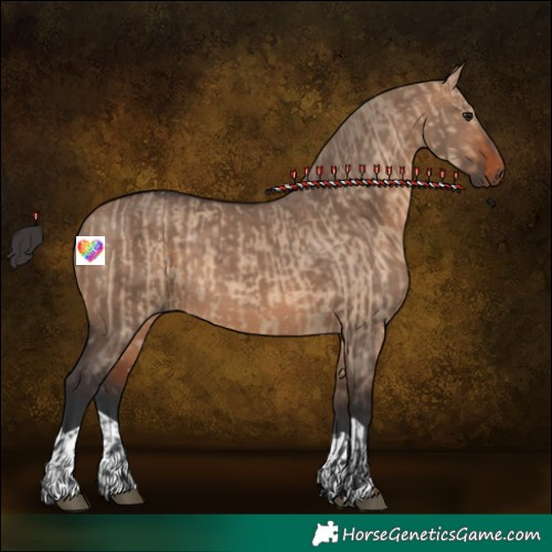 Horse Color:Brown Dun  and Bay Dun 