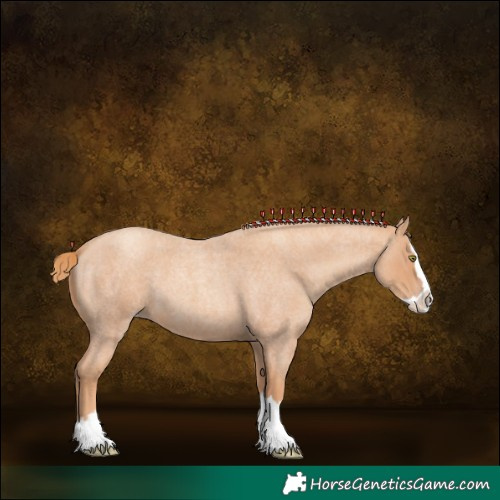 Horse Color:Gold Champagne Roan Splash 