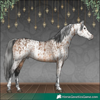 Horse Color:Bay Dun  and Gray Bay Dun 