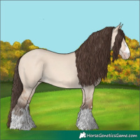 Horse Color:Amber Champagne Dun