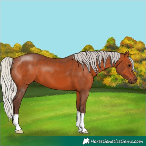 Horse Color:Silver Brown