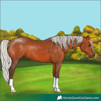 Horse Color:Silver Brown 