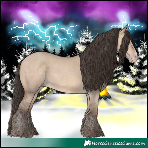 Horse Color:Sable Champagne Dun 