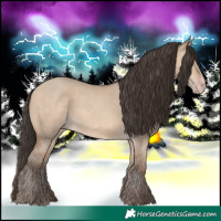 Horse Color:Sable Champagne Dun 