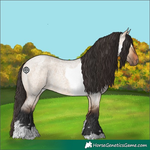 Horse Color:Bay Roan Dun  and Bay Roan Dun Frame 