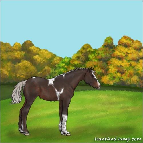 Horse Color:Silver Brown Sabino Splash Tobiano 
