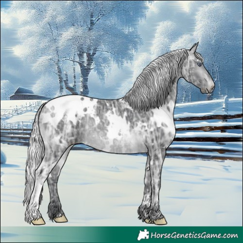 Horse Color:White Spotted Silver Brown Chinchilla Ice Rabicano 