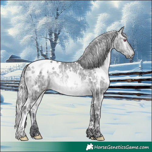 Horse Color:White Spotted Silver Brown Chinchilla Ice Rabicano 