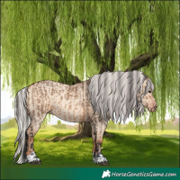Horse Color:Bay Dun and Silver Amber Champagne Dun