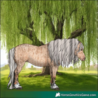 Horse Color:Bay Dun  and Silver Amber Champagne Dun 