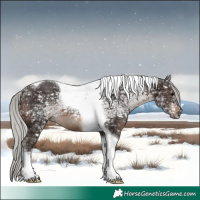 Horse Color:Silver Brown Ice Tobiano 