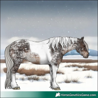 Horse Color:Silver Brown Ice Tobiano 