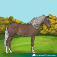 Horse Color:Silver Black 