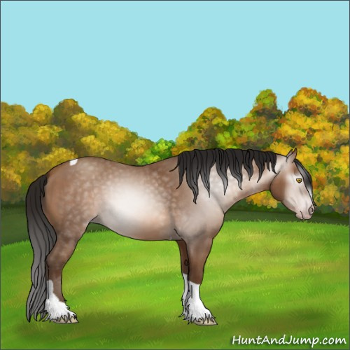 Horse Color:Gray Amber Champagne Tobiano 