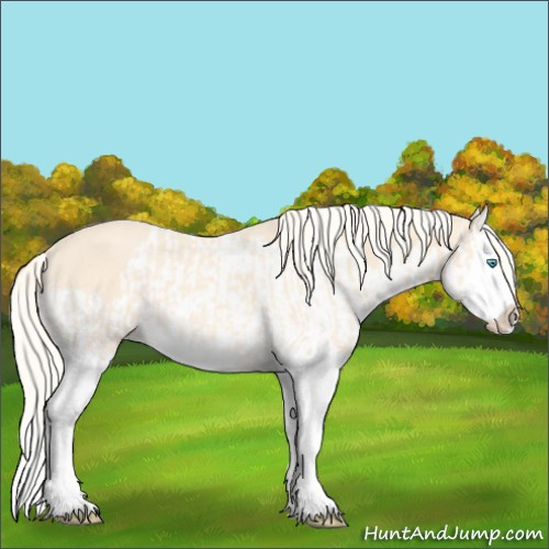 Horse Color:Cremello Splash  and Cremello Splash 