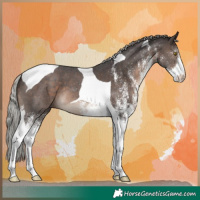 Horse Color:White Spotted Silver Brown Tobiano 