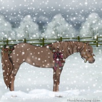 Horse Color:Liver Red Dun Rabicano 