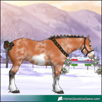 Horse Color:White Spotted Bay Sabino Frame 