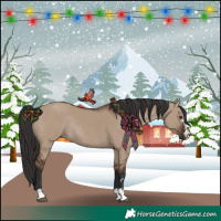 Horse Color:Liver Red Dun Rabicano 