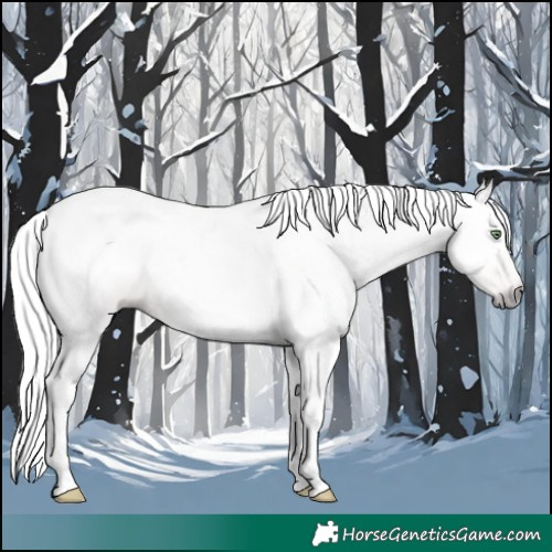 Horse Color:Gray Gold Cream Champagne Tobiano 