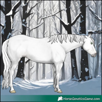Horse Color:Gray Gold Cream Champagne Tobiano 