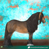 Horse Color:Buckskin 