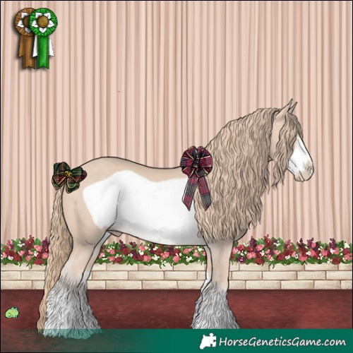 Horse Color:Perlino Sabino Frame 