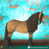 Horse Color:Buckskin 