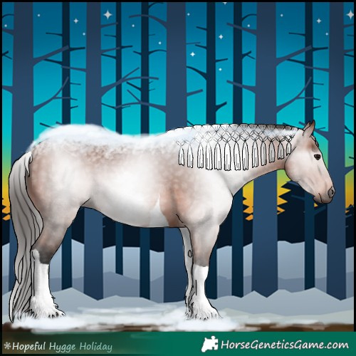 Horse Color:Gray White Spotted Bay Tobiano Rabicano 