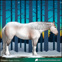 Horse Color:Gray White Spotted Bay Tobiano Rabicano 