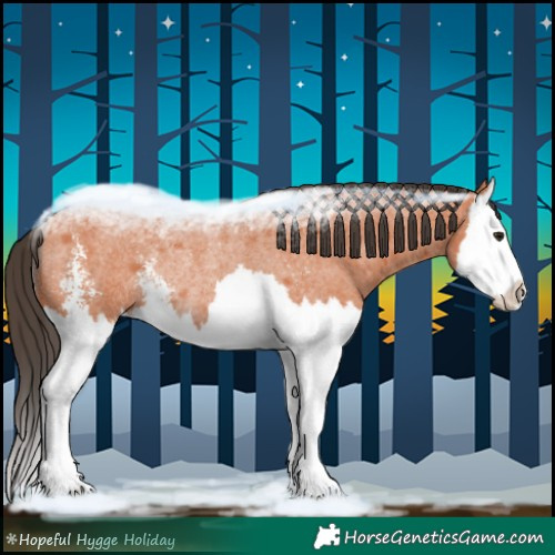 Horse Color:Bay Roan Sabino Splash Rabicano