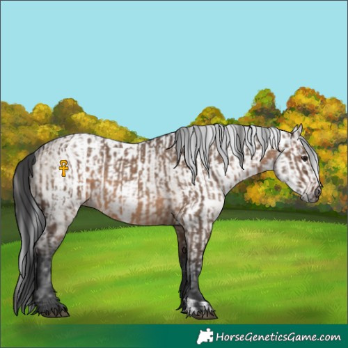 Horse Color:Brown Dun and Gray Brown Dun