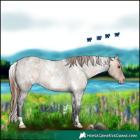 Horse Color:White Spotted Bay Roan Dun Varnish