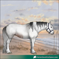 Horse Color:Gray Bay Sabino Tobiano