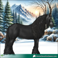 Horse Color:Gray Black 