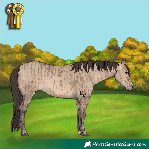 Horse Color:Brown Dun  and Sable Champagne Dun 